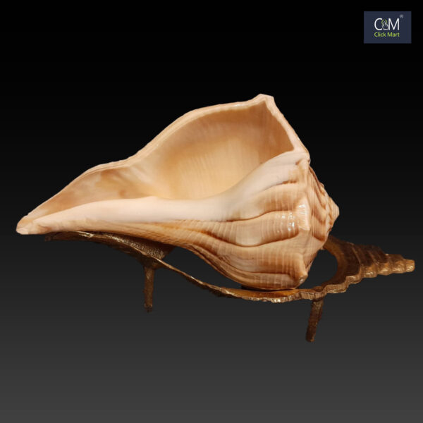 Haridwar Divine Pure Brass only Shankha Stand (not include Shankha)– Handcrafted Conch Shell for Pooja, Home Temple, and Spiritual Decor - Image 2