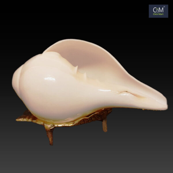 100% Original Sahadeva Shankha – Divine Mahabharata Conch Shell with Stand for Pooja and Home Temple Decor - Image 3