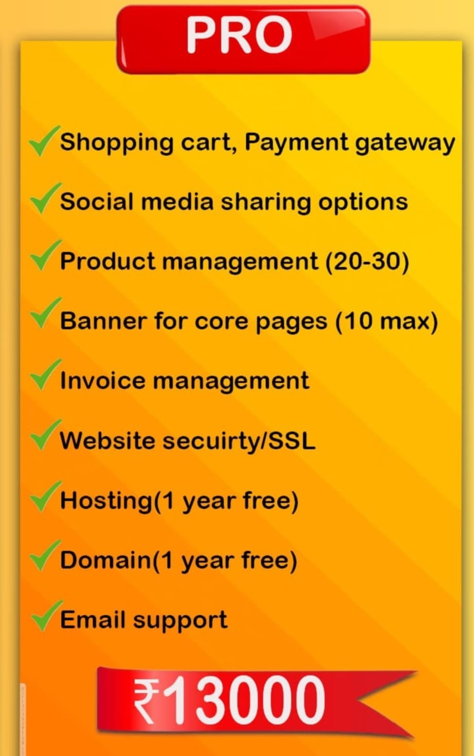 Pro website